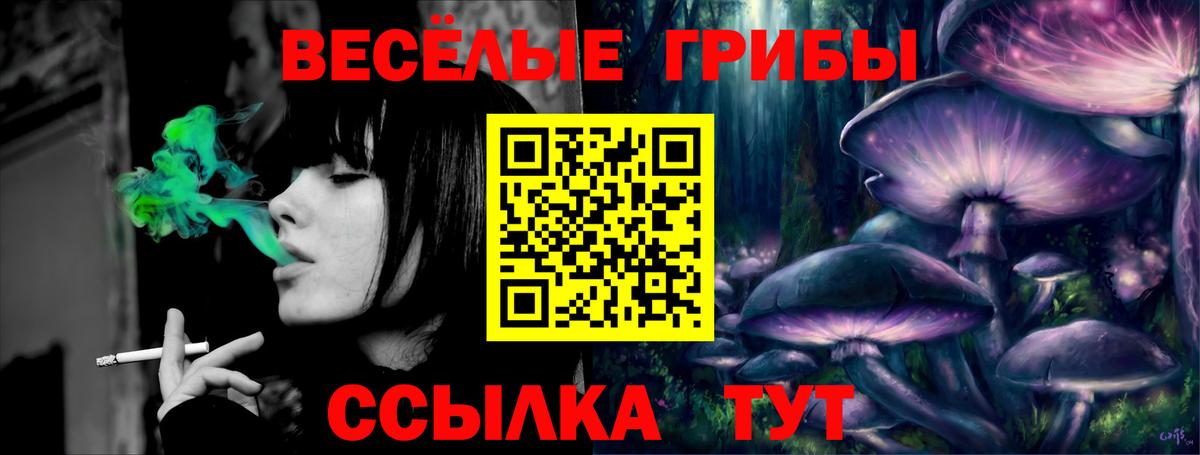 Галлюциногенные грибы Psilocybine cubensis Видное