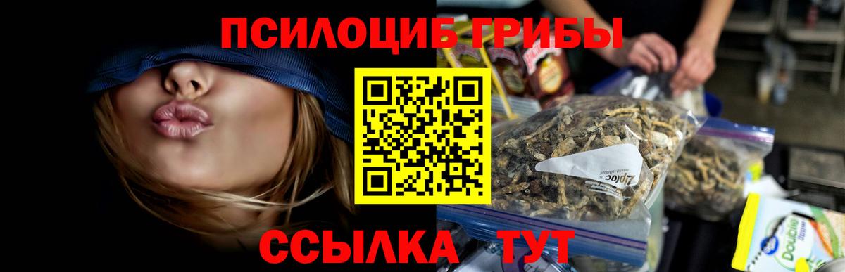Псилоцибиновые грибы Magic Shrooms  Вход с VPN  Видное  Галлюциногенные грибы Cubensis 