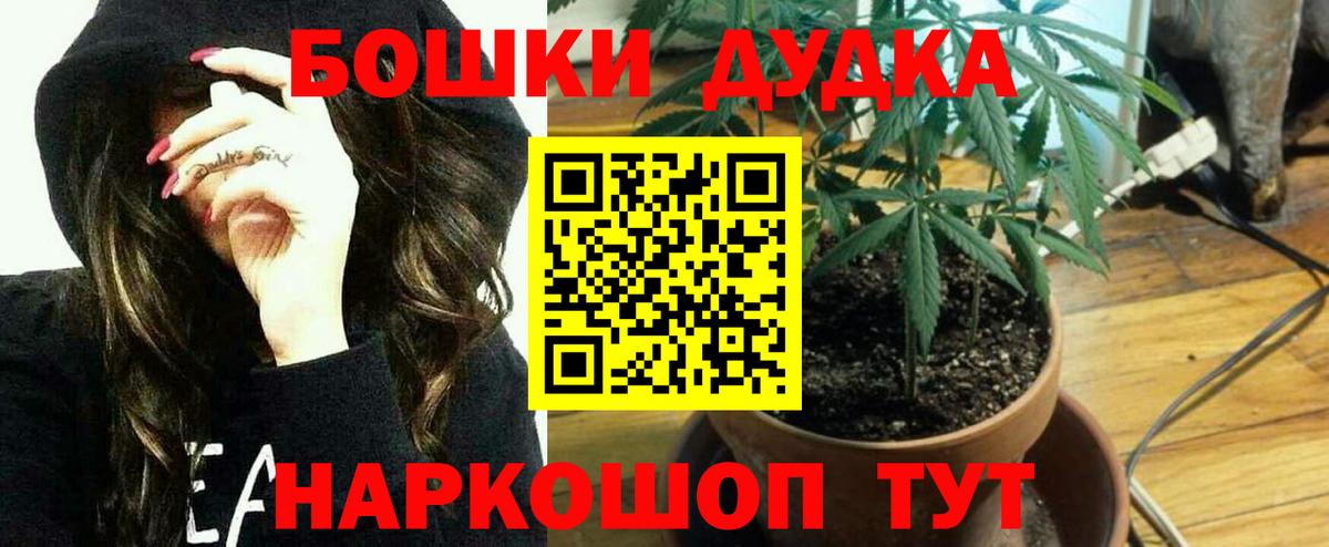 Шишки марихуана VHQ  Вход с VPN  Видное  Шишки марихуана OG Kush 